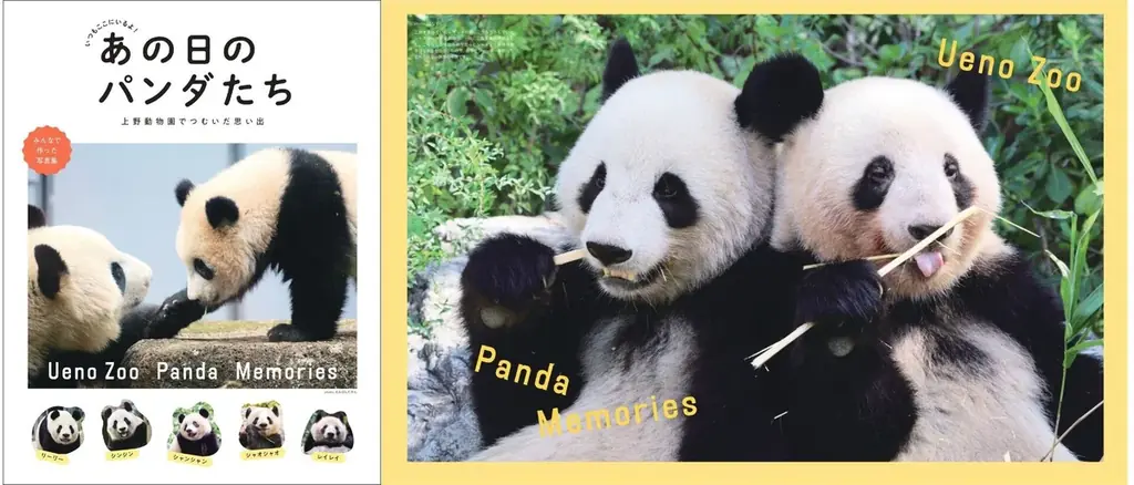 写真集発売