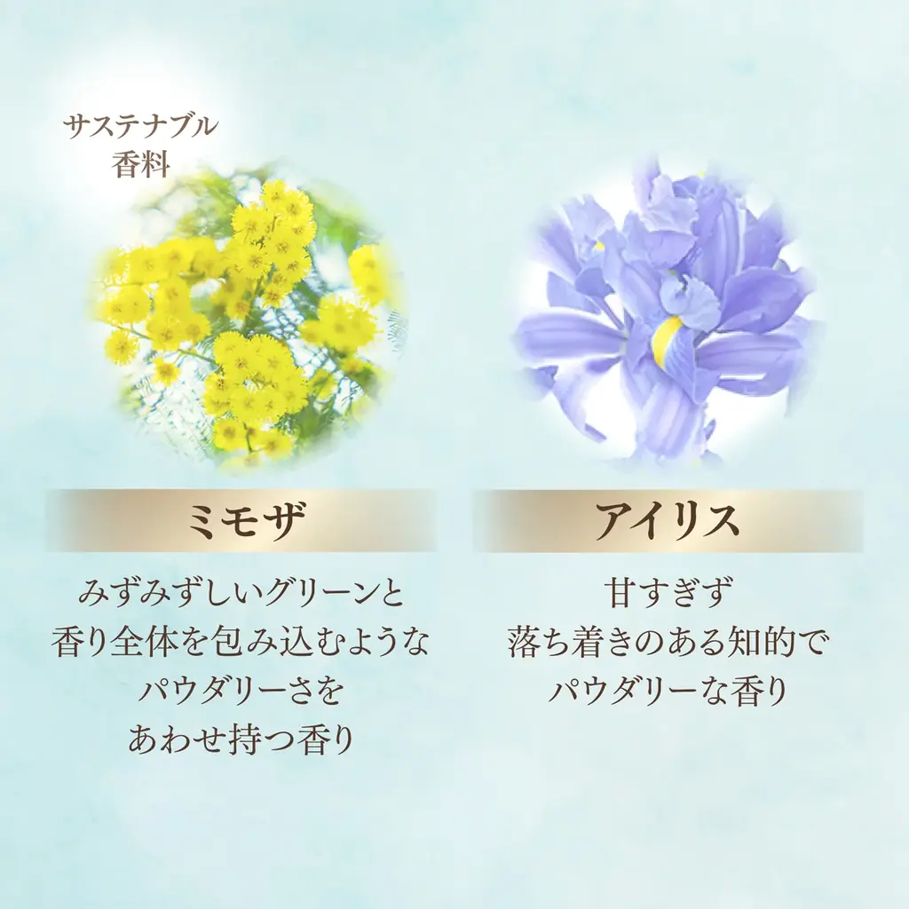 カウンセリングおしろい市場売上No.1*¹のミラノコレクションから、一年に一度の香りが登場！「ミラノコレクション　オードパルファム２０２７」が10月27日（火）より予約受付開始！ 画像 7