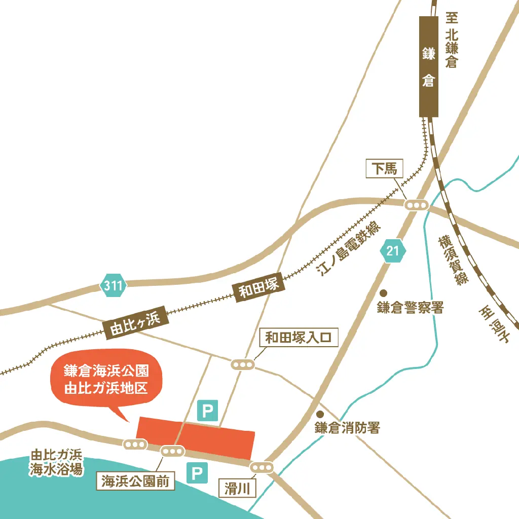 空手でつながる、海辺の沖縄まつり「沖縄鎌倉交流祭」2026年11月8日（日）鎌倉・由比ヶ浜で初開催・入場無料 画像 5