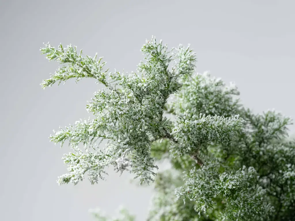スノーブラスト発売、花材や店頭を雪景色にする装飾スプレー