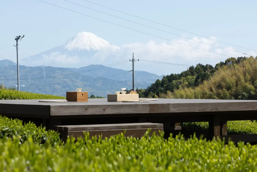 お茶好きZ世代の“新しいお茶体験”。静岡茶×スイーツの極上ペアリングを楽しむ4年目となる『するがヌーン茶』が11月1日に開幕！ 画像 6