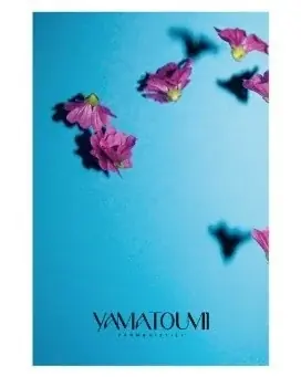 品川駅前に2つのアウトドアシネマが登場！世界のショートフィルムとゲストトーク、音楽・グルメを楽しむ6日間 11月9日（月）～14日（土）「品川国際映画祭」開催 画像 16