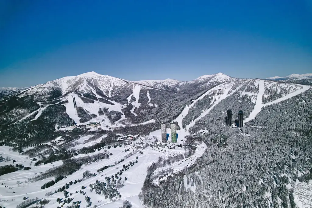 【日本テレビ・アスリート派遣事業×星野リゾート】世界で活躍するトップアスリートから学ぶ「雪ッズ」特別プログラムを提供 画像 6