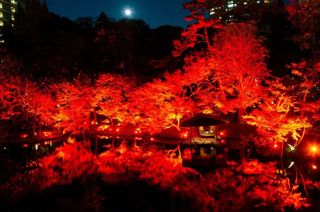 八芳園紅葉ライトアップ