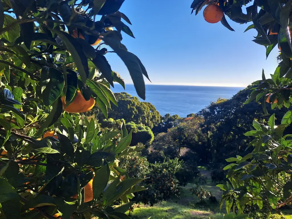 冬の神奈川は、海辺がいい。湯河原のスイーツと、真鶴の柑橘に出会う冬のご褒美旅 画像 7