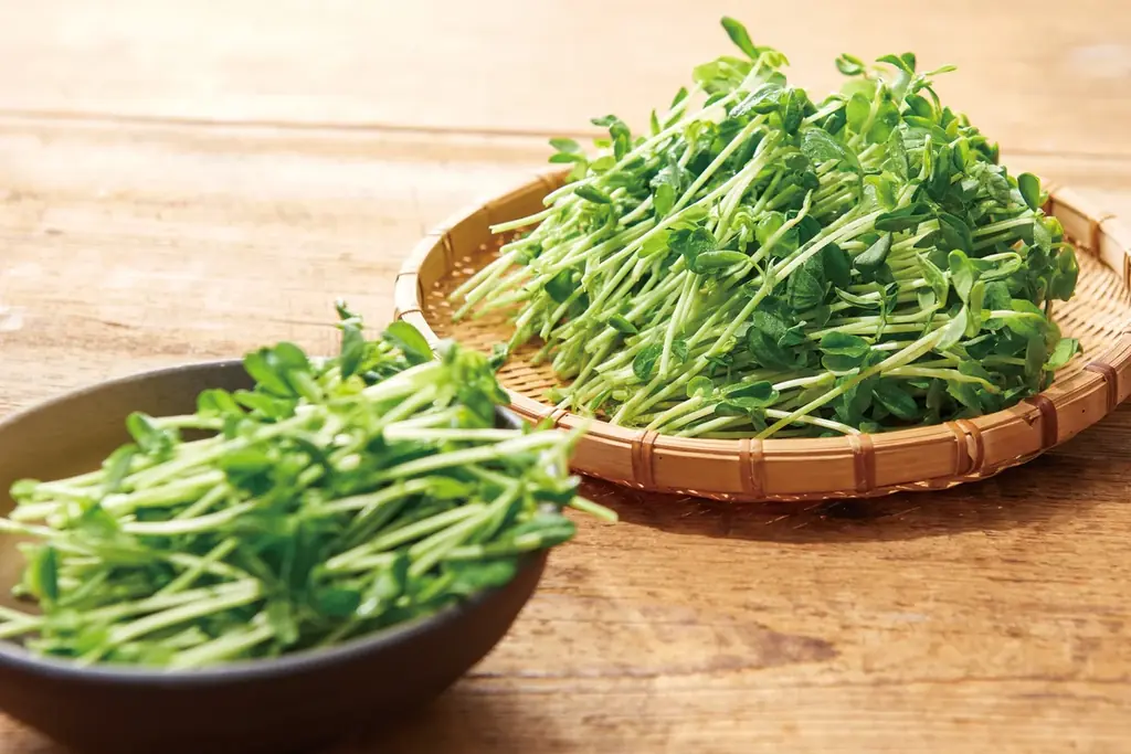 「しゃぶしゃぶ温野菜」自慢のおだしを自宅でも！秋の贅沢「豆乳ポルチーニ鍋」テイクアウト・デリバリー開始！ ～1/2日分の国産野菜と厳選肉を楽しむ「食べるスープ」に新作登場～ 画像 11