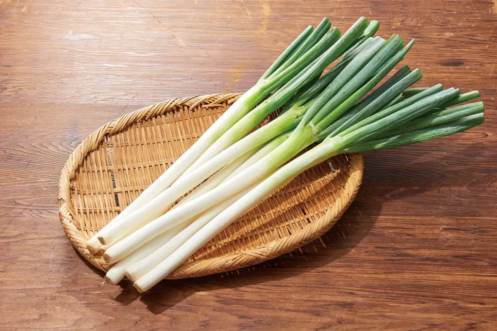 「しゃぶしゃぶ温野菜」自慢のおだしを自宅でも！秋の贅沢「豆乳ポルチーニ鍋」テイクアウト・デリバリー開始！ ～1/2日分の国産野菜と厳選肉を楽しむ「食べるスープ」に新作登場～ 画像 9
