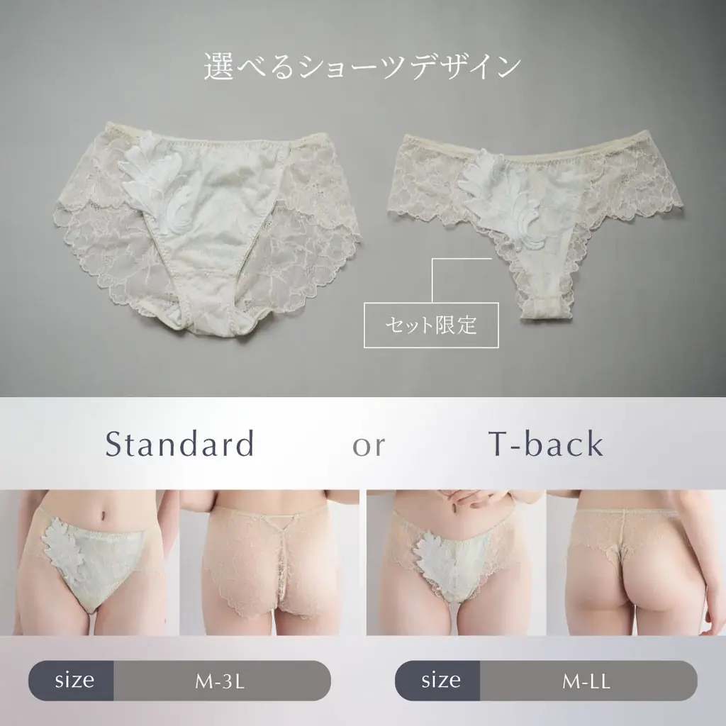 【コフレ販売開始】下着をクリスマスギフトに。人気の「シン・胸不二子ブラ」が幻想的なオーロラ柄で登場。数量限定コフレ「2026年ホリデーコフレ-Luminous-」販売開始。 画像 4