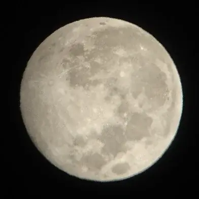 【日本一の星空】長野県阿智村　宿泊者限定のプライベート イベント「冬空のキャンドルナイト in 星合の森」開催 画像 6