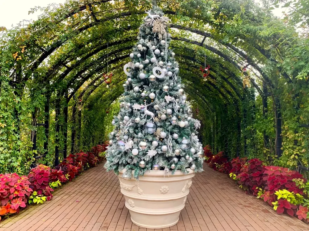 【JAF神奈川】横浜イングリッシュガーデンで、世界にひとつだけのクリスマスリース作りイベントを開催！今年のクリスマスは、手作りのリースで飾り付けしませんか？ 画像 2