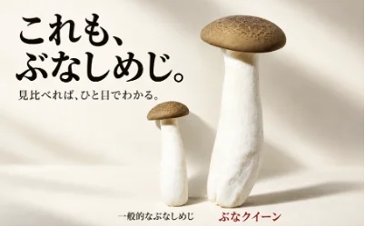 カットぶなしめじのパイオニア・ミスズライフがSABARと初コラボ！ぶなしめじの女王「ぶなクイーン」とサバが織りなす秋の味覚【さば×ぶなクイーンフェア】11月1日スタート！ 画像 4