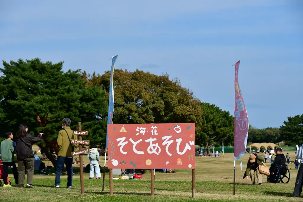 コキア 赤と琥珀色のグラデーションへ（国営ひたち海浜公園） 画像 7
