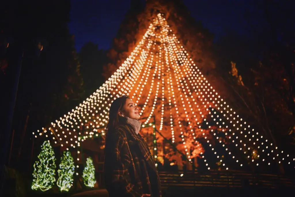 神戸クリスマスマーケット2026のシンボルツリー「森のクリスマスツリー（高さ25m)」の点灯セレモニーを11/7（土）に開催。煌びやかな「古城のクリスマス（展望広場全域）」の点灯セレモニーも同日開催。 画像 5