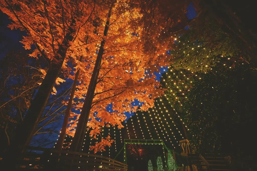 神戸クリスマスマーケット2026のシンボルツリー「森のクリスマスツリー（高さ25m)」の点灯セレモニーを11/7（土）に開催。煌びやかな「古城のクリスマス（展望広場全域）」の点灯セレモニーも同日開催。 画像 6