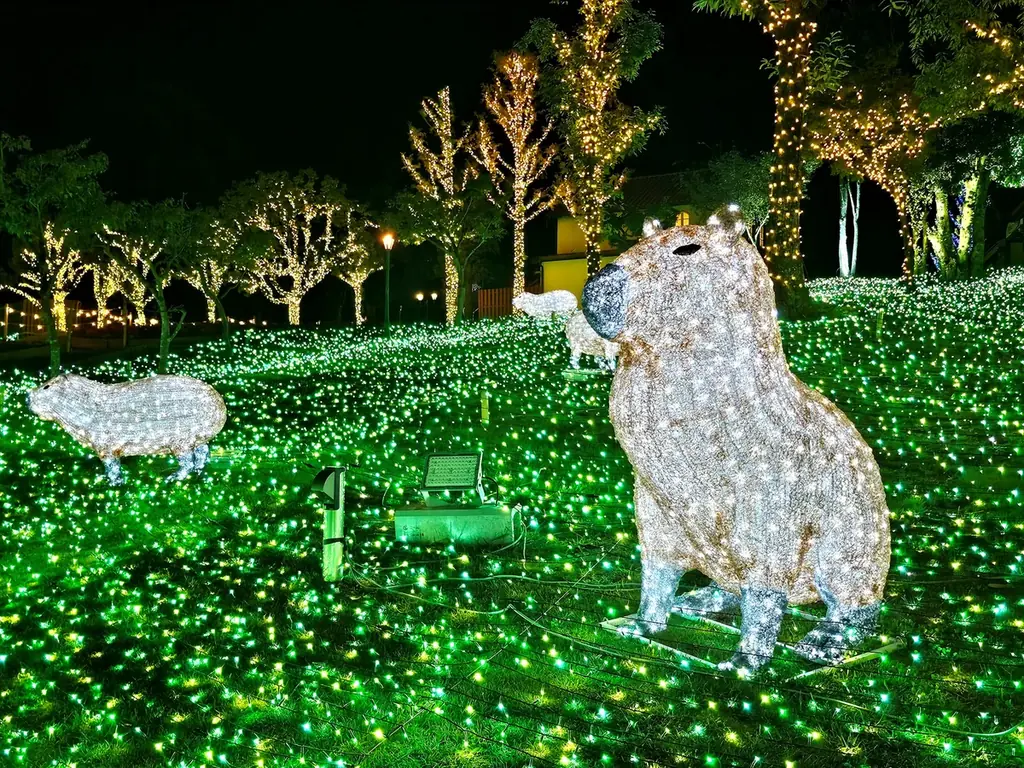 【11月初旬 そろそろ見ごろ】 秋空の下、50万本のコスモスが彩る花景色【ハーベストの丘】 画像 8