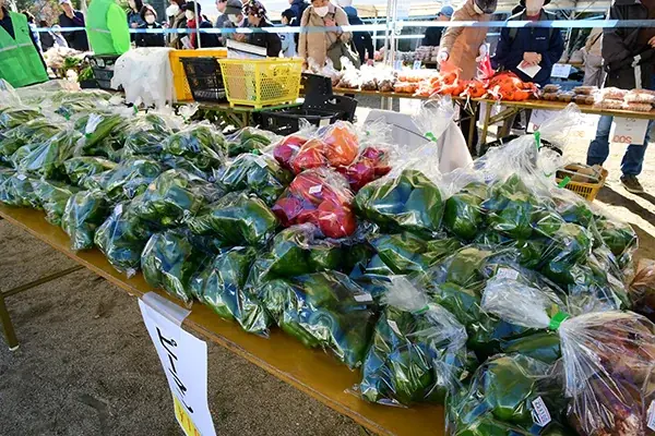 高槻市内農家が丹精して育てた新鮮野菜が並ぶ農林業祭を開催 画像 2