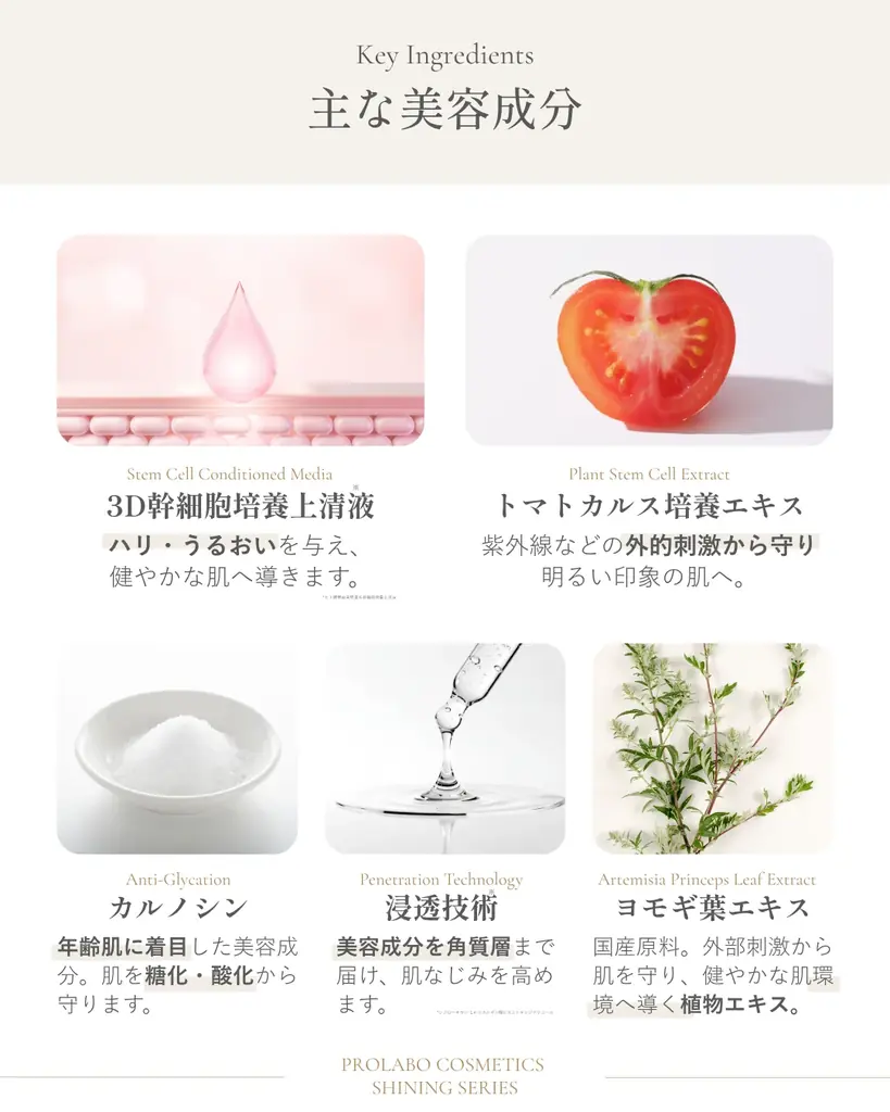 3D培養技術から生まれた「ヒト臍帯由来幹細胞順化培養液※1」を配合。プロラボ・コスメティックス、新スキンケアシリーズ「SHINING SERIES」を10月27日発売 画像 2
