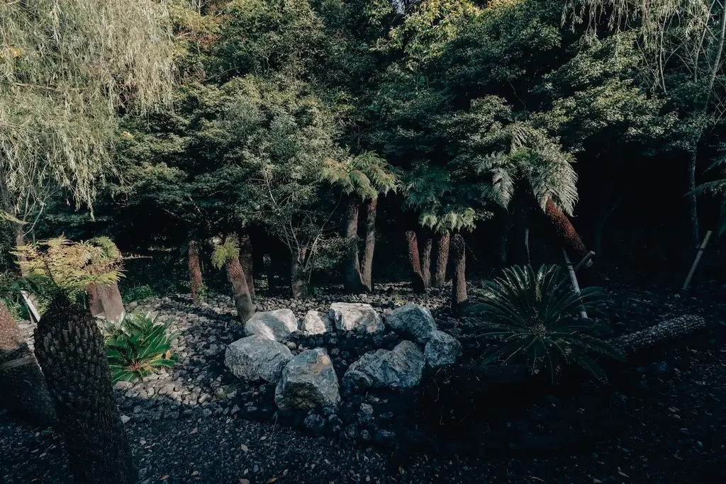 BOTANICAL POOL CLUB、冬はウェルネスリゾートへ。約300種の植物に包まれた空間で心身を整える、冬限定のウェルネスリトリート 画像 13