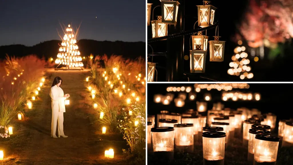 【広島／世羅】世羅高原キャンドルナイトは10月31日OPEN！《そらの花畑　世羅高原花の森》 画像 2