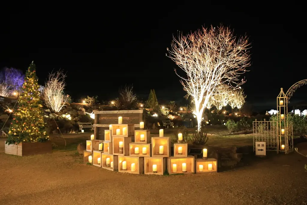 【広島／世羅】世羅高原キャンドルナイトは10月31日OPEN！《そらの花畑　世羅高原花の森》 画像 3