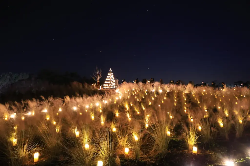 【広島／世羅】世羅高原キャンドルナイトは10月31日OPEN！《そらの花畑　世羅高原花の森》 画像 4