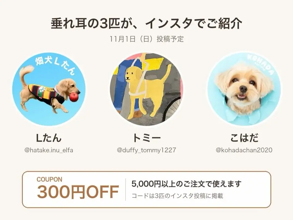 「垂れ耳の子も、つくれますか？」の声から商品化。愛犬の写真でつくる「愛犬キーケース」に、垂れ耳モデルが新登場。 画像 10