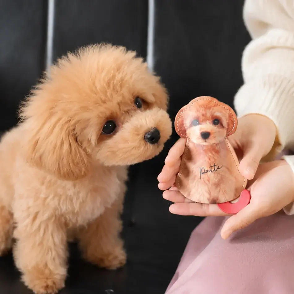 「垂れ耳の子も、つくれますか？」の声から商品化。愛犬の写真でつくる「愛犬キーケース」に、垂れ耳モデルが新登場。 画像 3