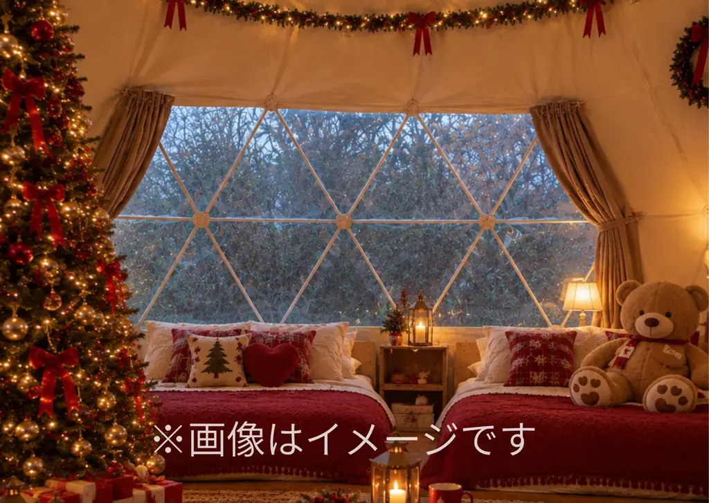 【冬季限定】伊勢志摩の森の中に”秘密のクリスマスルーム”が登場！ 画像 3