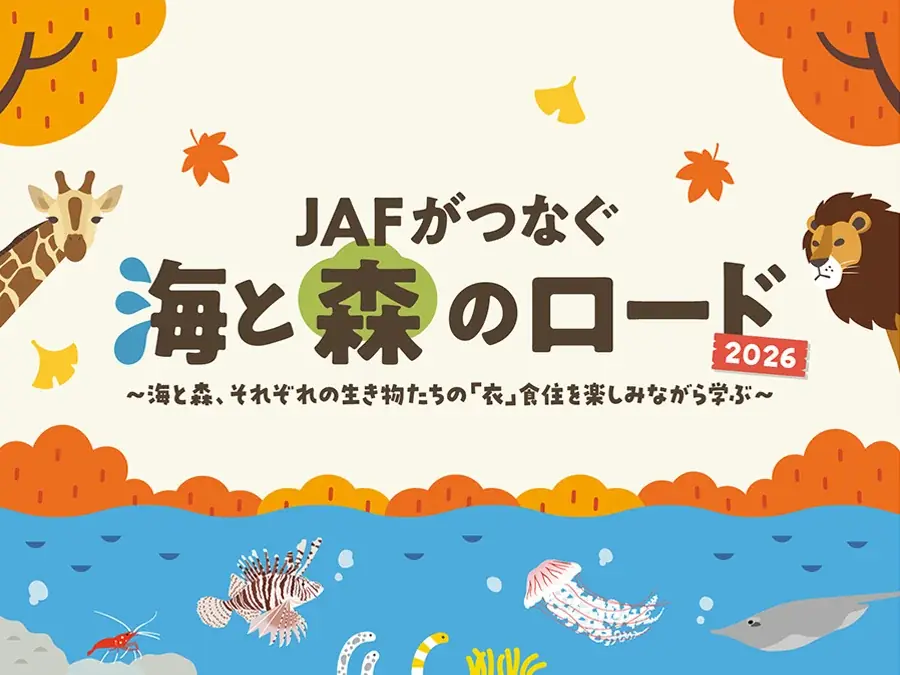 ワークシート配布