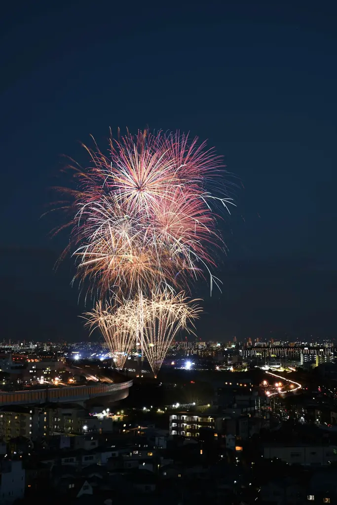 第77回猪名川花火大会開催 / 兵庫県川西市 画像 2