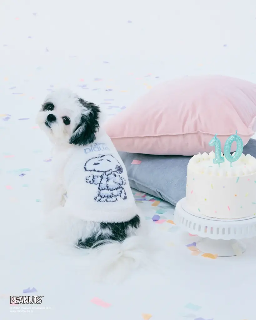 【gelato pique 】PEANUTSとの記念すべきコラボレーション10周年！ジェラート ピケのシグネチャーであるボーダー柄ルームウェアを着たスヌーピーたち10キャラクターの特別なアートが登場 画像 15