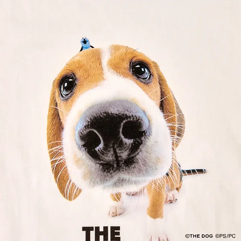 パペットスンスンと「THE DOG」が初コラボレーション。Tシャツ全3種が10月31日よりオンラインストアで発売決定 画像 3