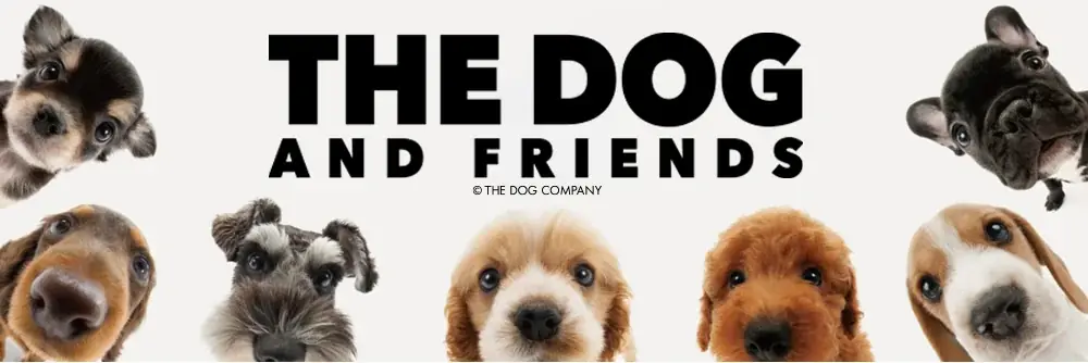 パペットスンスンと「THE DOG」が初コラボレーション。Tシャツ全3種が10月31日よりオンラインストアで発売決定 画像 8