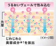 うるおい・ハリ・つやを保湿成分セラミドで守る『トリニティーライン モイスト クリーム』を今年も数量限定発売BEAUTY BLACK FRIDAYも同時開催 画像 3