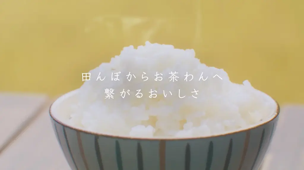「新米祭り」11月1日(日)より開催！ふっくらツヤツヤの新米を、全国の大戸屋ごはん処でお届け。 画像 2