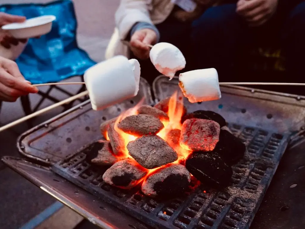 韓国グルメを味わいながらチャミスルで乾杯！ 多摩川沿いの“泊まれる”野外映画館「K-CINEMA NIGHT」が開催決定!!【11/21-22】 画像 6