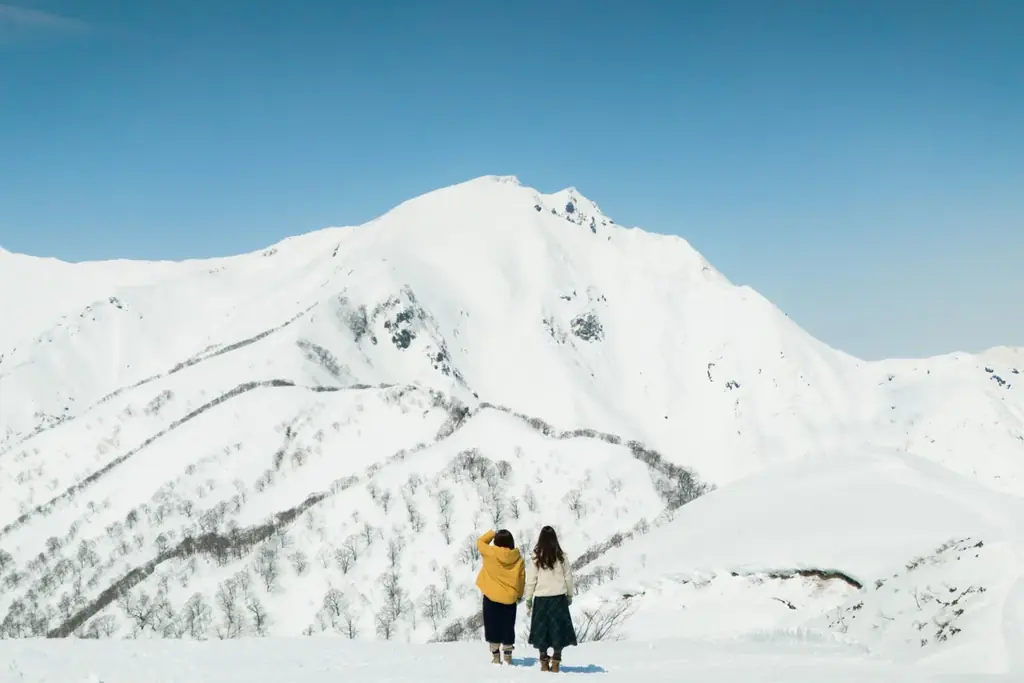 【谷川岳ヨッホ】雪山の絶景を空中散歩、貸し切り空間でスイススイーツを楽しむ「雪舞うゴンドラクルーズアフタヌーンティー」開催 画像 7
