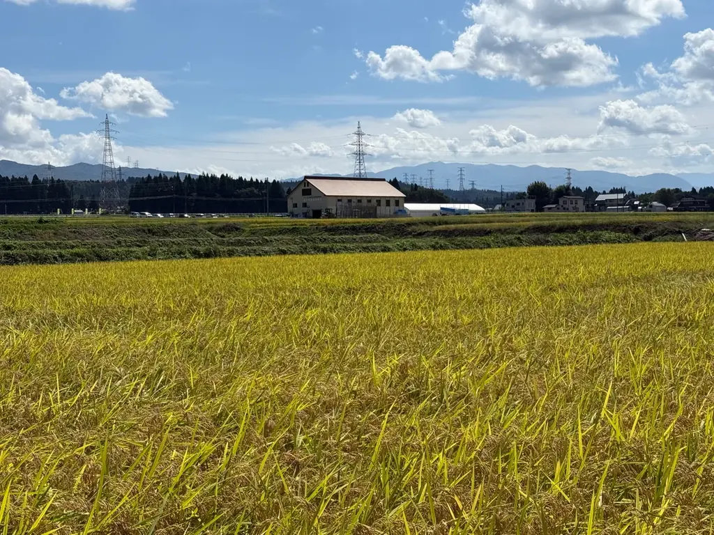 魚沼産コシヒカリ「TOIRO」販売へ、食品残渣を肥料に再利用