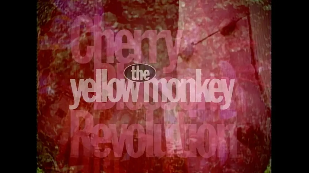 THE YELLOW MONKEYの全国ツアーより最終公演となるKアリーナ横浜でのライブの模様を、8月にWOWOWで独占放送・配信決定！さらに彼らの魅力を味わい尽くすスペシャル企画をお届け！ 画像 4