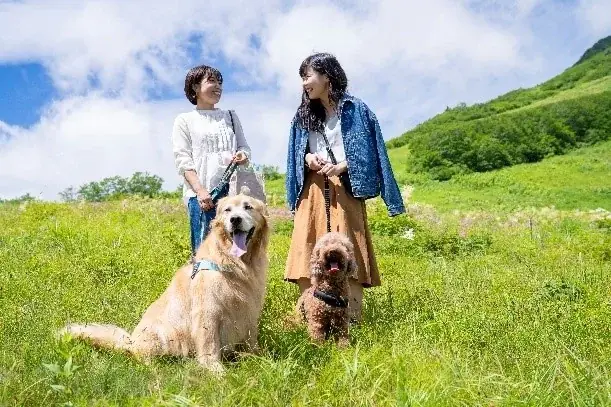白馬村でこの秋、新たな音楽フェスティバルが誕生！ 「Hakuba Mountain Festival」初開催決定 画像 9