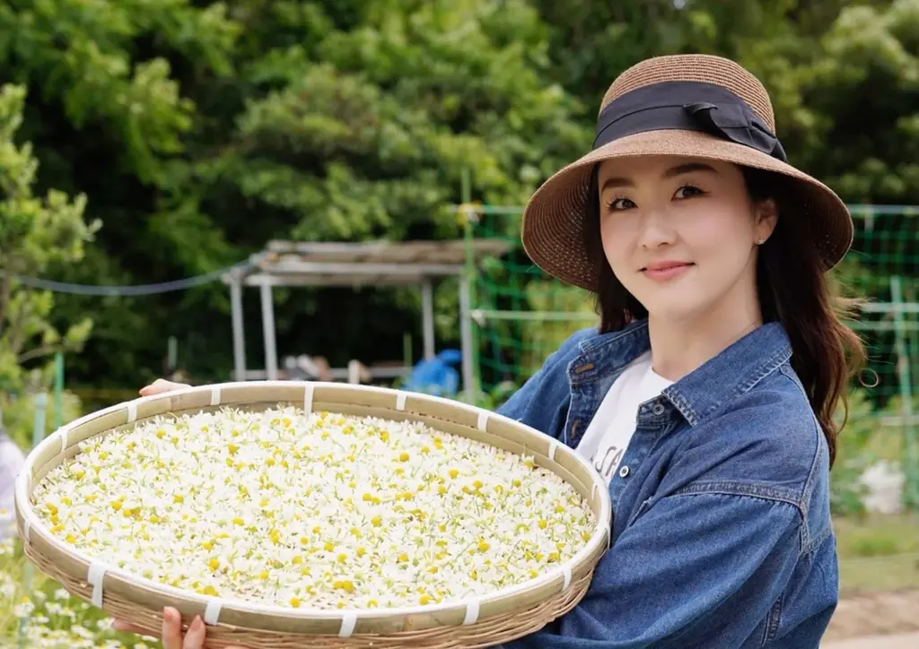 【夏至限定】福岡産・無農薬ハーブ100%使用「清巡 – Seijun -」本日より予約受付スタート！爽やかな初夏ブレンドが登場 画像 1