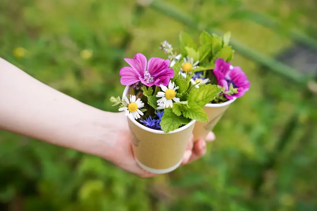 【夏至限定】福岡産・無農薬ハーブ100%使用「清巡 – Seijun -」本日より予約受付スタート！爽やかな初夏ブレンドが登場 画像 5