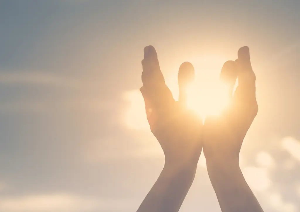 【夏至限定】福岡産・無農薬ハーブ100%使用「清巡 – Seijun -」本日より予約受付スタート！爽やかな初夏ブレンドが登場 画像 7