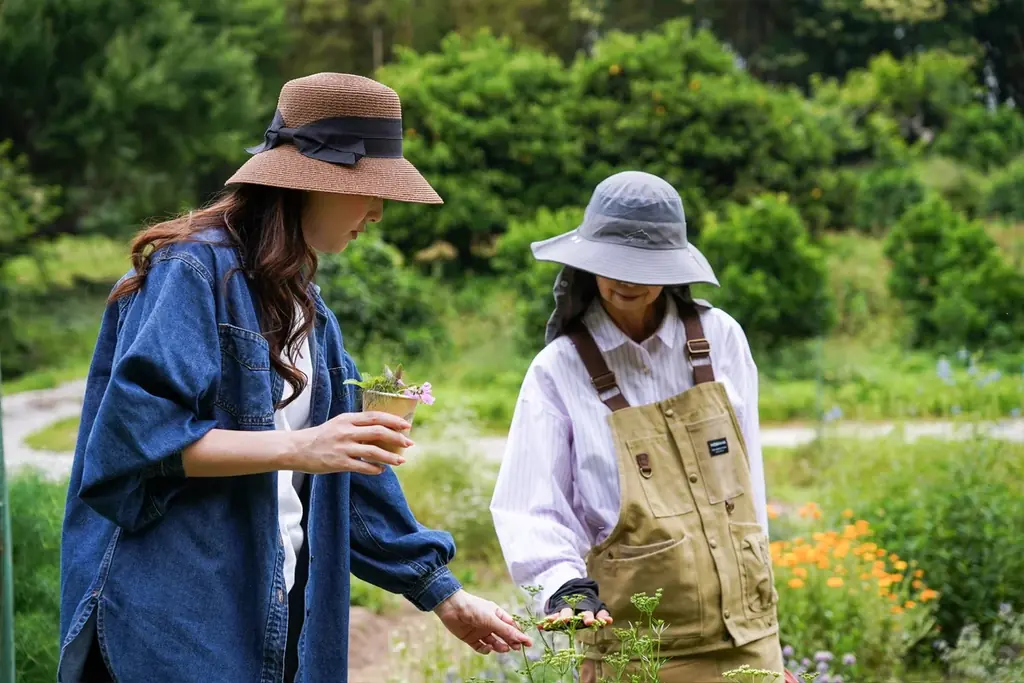 【夏至限定】福岡産・無農薬ハーブ100%使用「清巡 – Seijun -」本日より予約受付スタート！爽やかな初夏ブレンドが登場 画像 8
