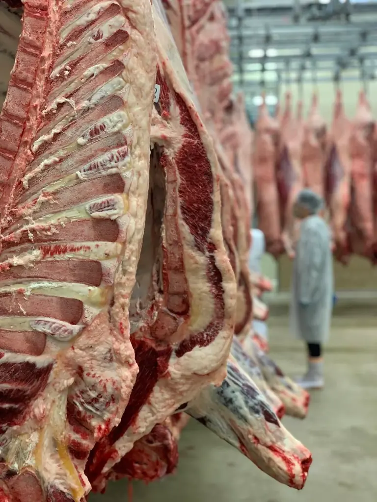 【お客様大感謝祭開催！】グランドメニューリニューアルに伴い「肉のよいち」の黒毛和牛A5カルビ他4商品が全て半額に？！ 画像 5