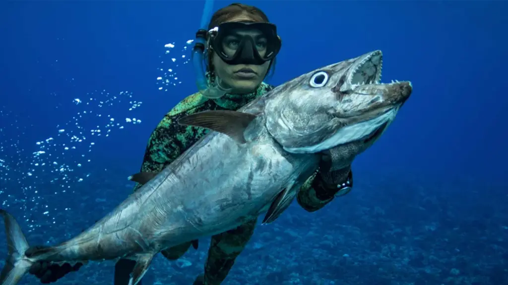 日本映像翻訳アカデミー、学生インターンが字幕を手がけたSDGs映画の上映イベントを開催 画像 3
