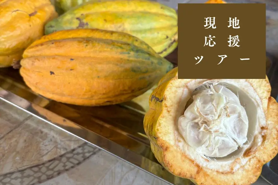 世界最大級のチョコレートの祭典「サロン・デュ・ショコラ2025（パリ）」に初出展。日本生まれ・Night Cacaoがタイの農家と世界の舞台へに向けてクラウドファンディングを開始 画像 11