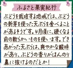 “地産全消”で地域の美味しさを全国に　季節限定「野菜生活100 信州巨峰ミックス」新発売～ 画像 5