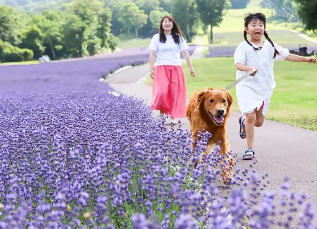 愛犬と過ごせる高原リゾート「たんばらラベンダーパーク」　　　　命をつなぐプロジェクト「おツナがり」とコラボ 画像 1