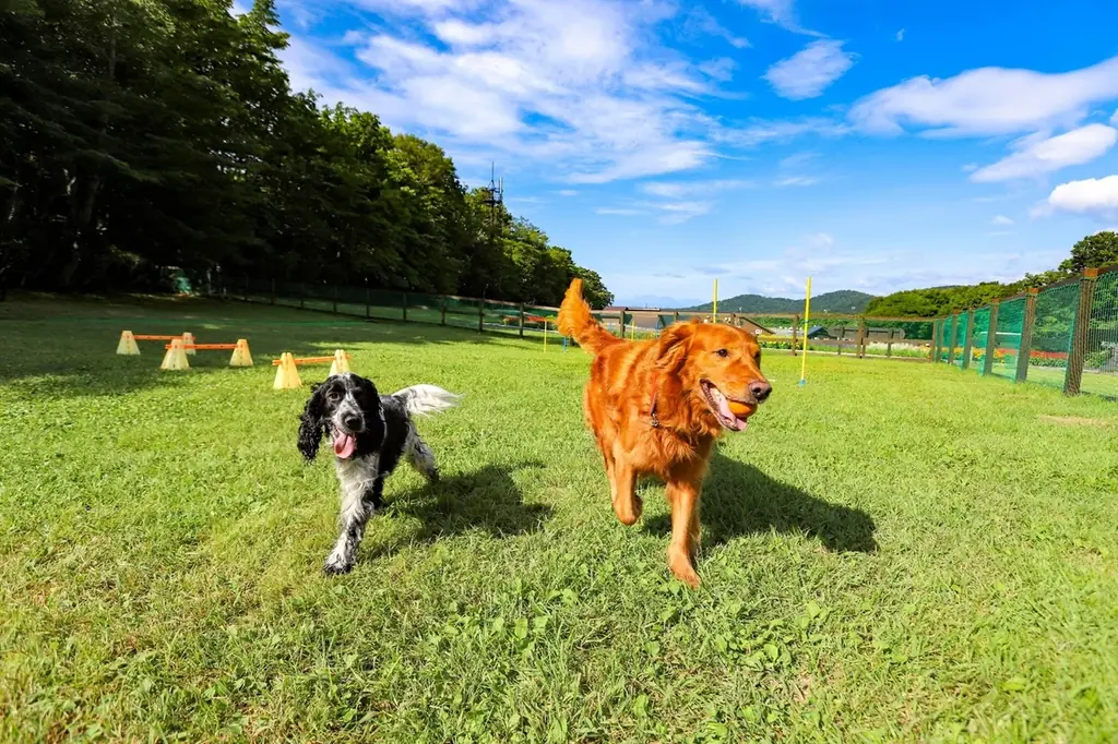 愛犬と過ごせる高原リゾート「たんばらラベンダーパーク」　　　　命をつなぐプロジェクト「おツナがり」とコラボ 画像 4
